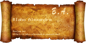 Blaho Alexandra névjegykártya